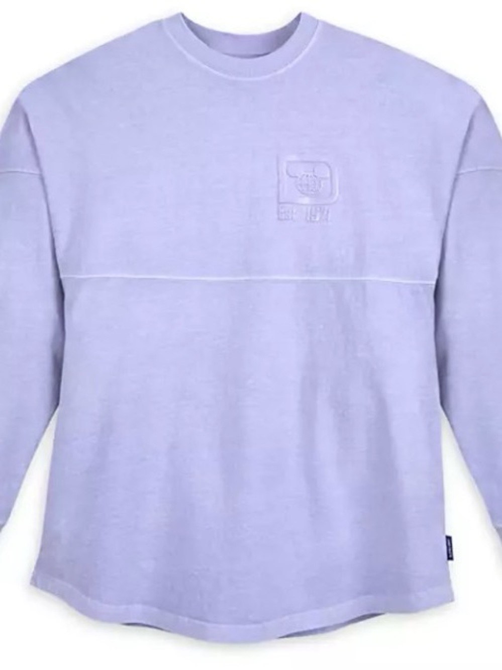 Walt Disney world spirit jersey
